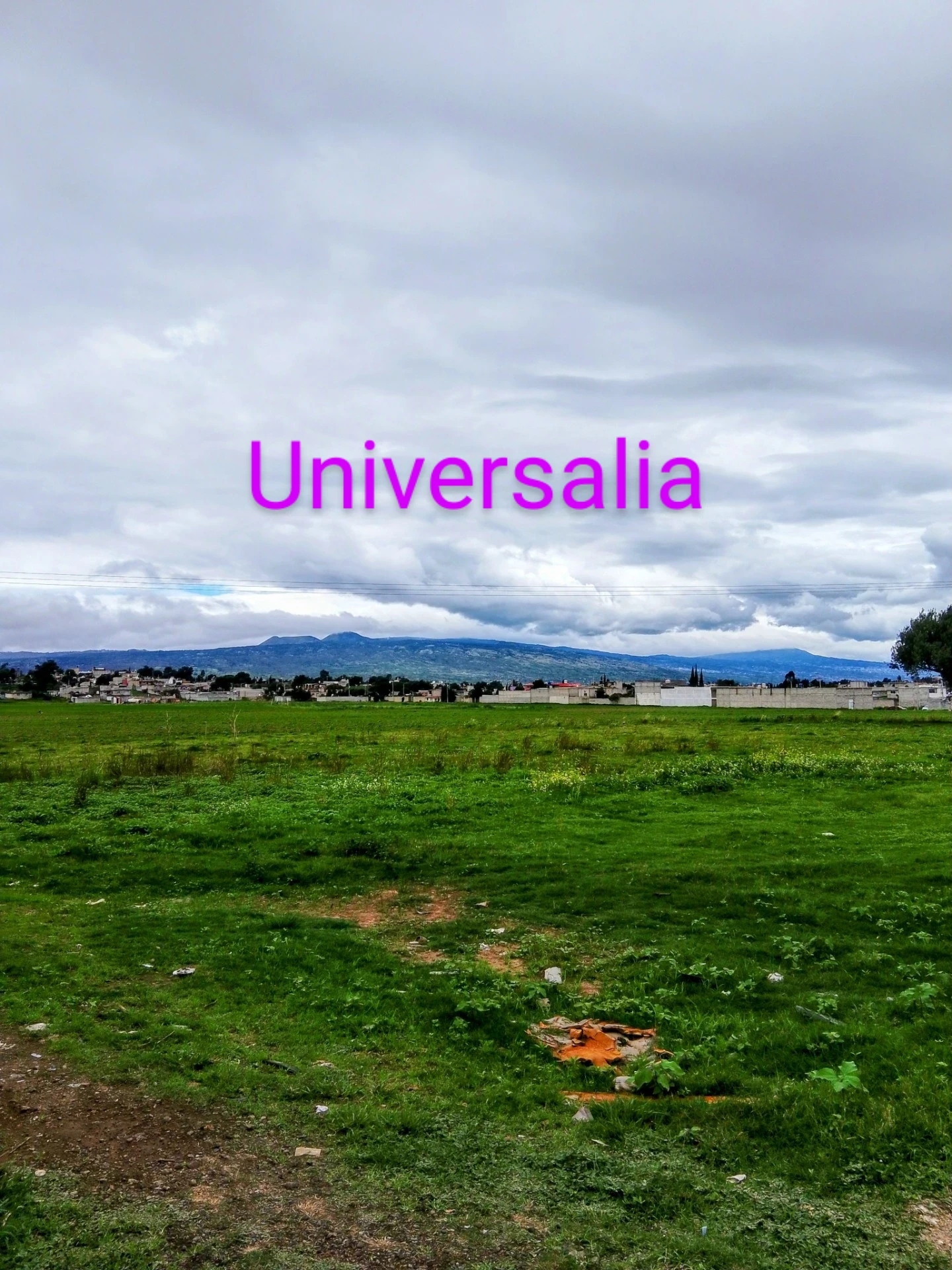 Universal IA 
